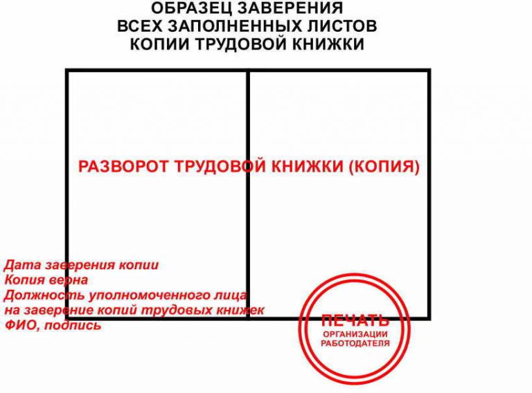 Копия трудовой заверенная работодателем образец