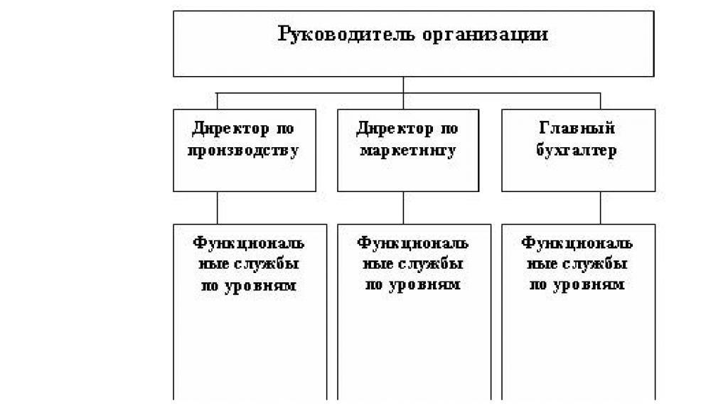 формы организации бизнеса план